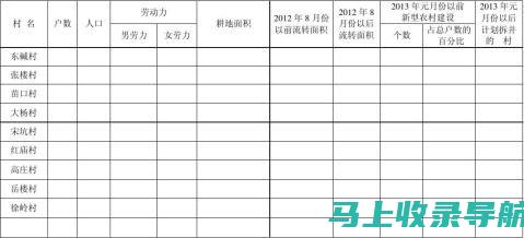 乡镇统计站站长如何推动数据服务乡村振兴的实践与创新